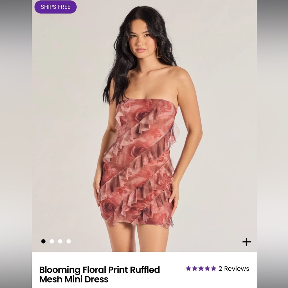 Blooming Floral Print Ruffled Mesh Mini Dress